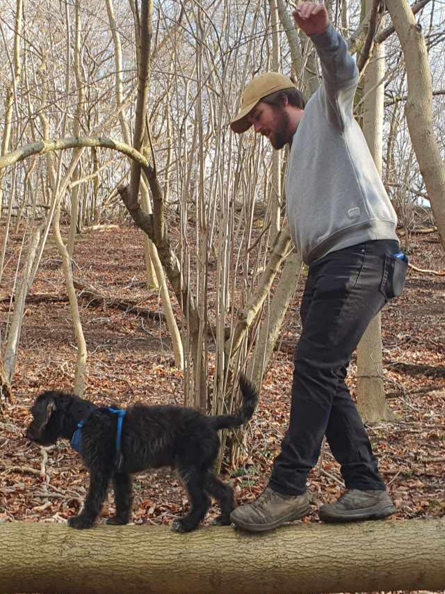 Jake and Jack man and mini labradoodle balancing on a log