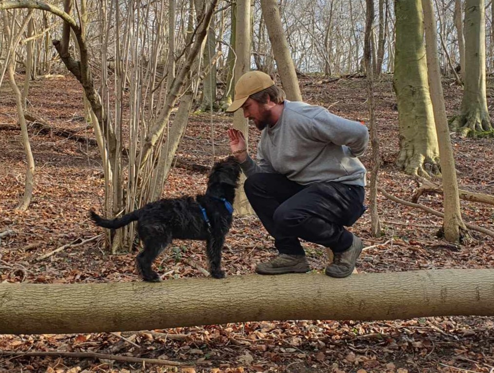 Jake and Jack man and mini labradoodle balancing on a log